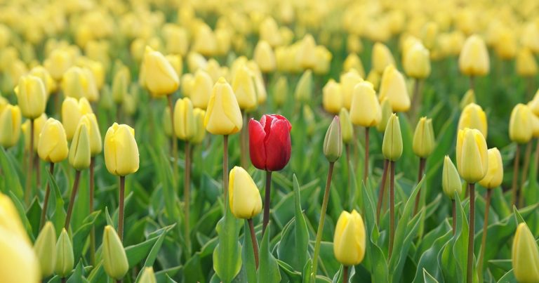 46 Self-Esteem Affirmations