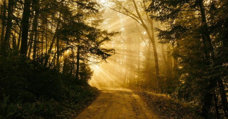 70 Crown Chakra Affirmations for Spiritual Transformation