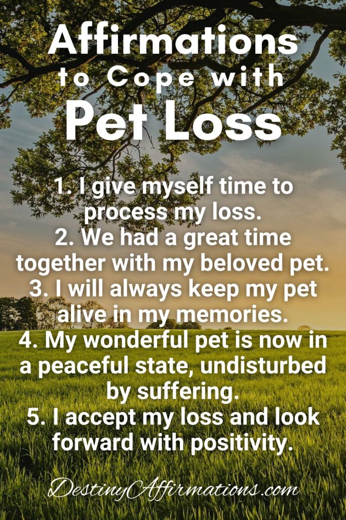 Top Affirmations for Pet Loss 1. I give myself time to process my loss. 2. We had a great time together with my beloved pet. 3. I will always keep my pet alive in my memories. 4. My wonderful pet is now in a peaceful state, undisturbed by suffering. 5. I accept my loss and look forward with positivity.
