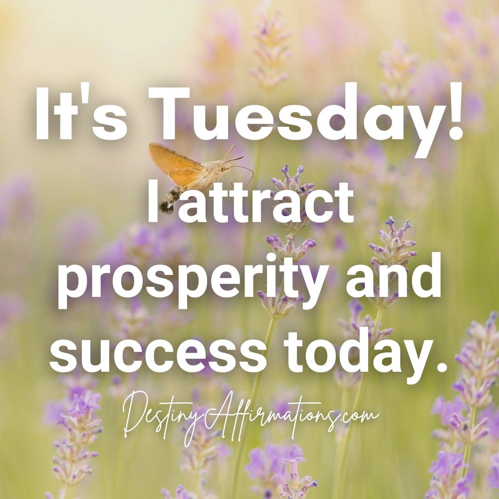 Tuesday affirmation #9: "It's Tuesday! I attract prosperity and success today."
