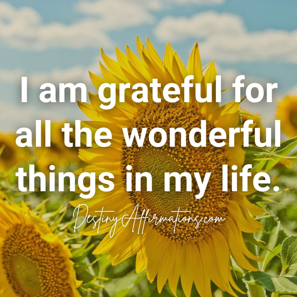 August affirmation #24: "I am grateful for all the wonderful things in my life."