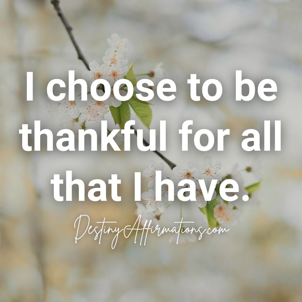 Thursday affirmation #25: "I choose to be thankful for all that I have."